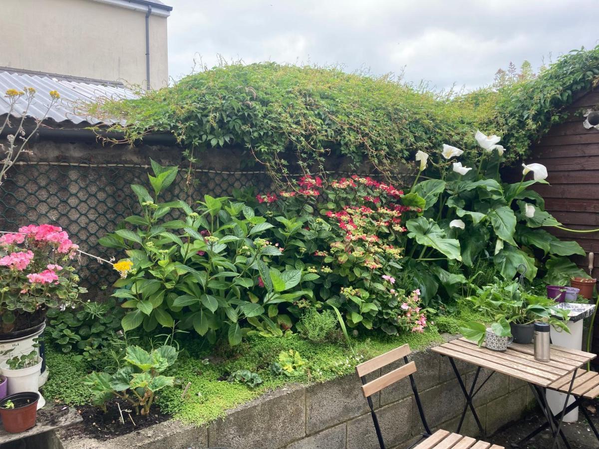 Bed & Breakfast Mulgrave Dun Laoghaire